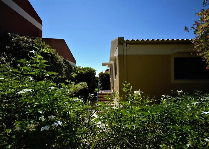 Wiola\'S Home